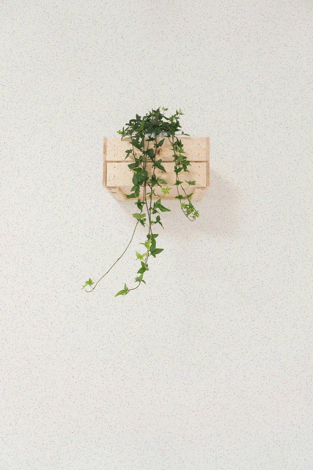 Aplikace loga na obal